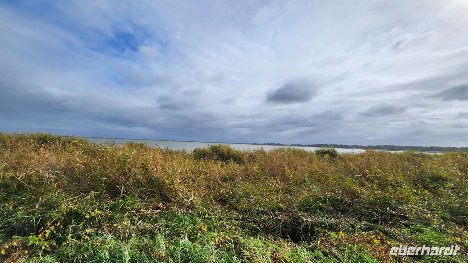 Wanderung von Wieck nach Born