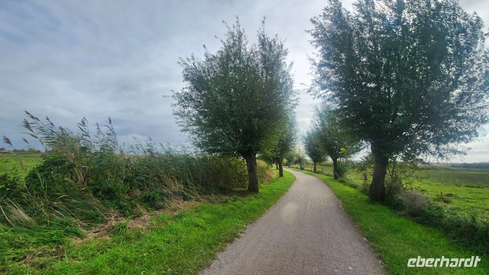 Wanderung von Wieck nach Born