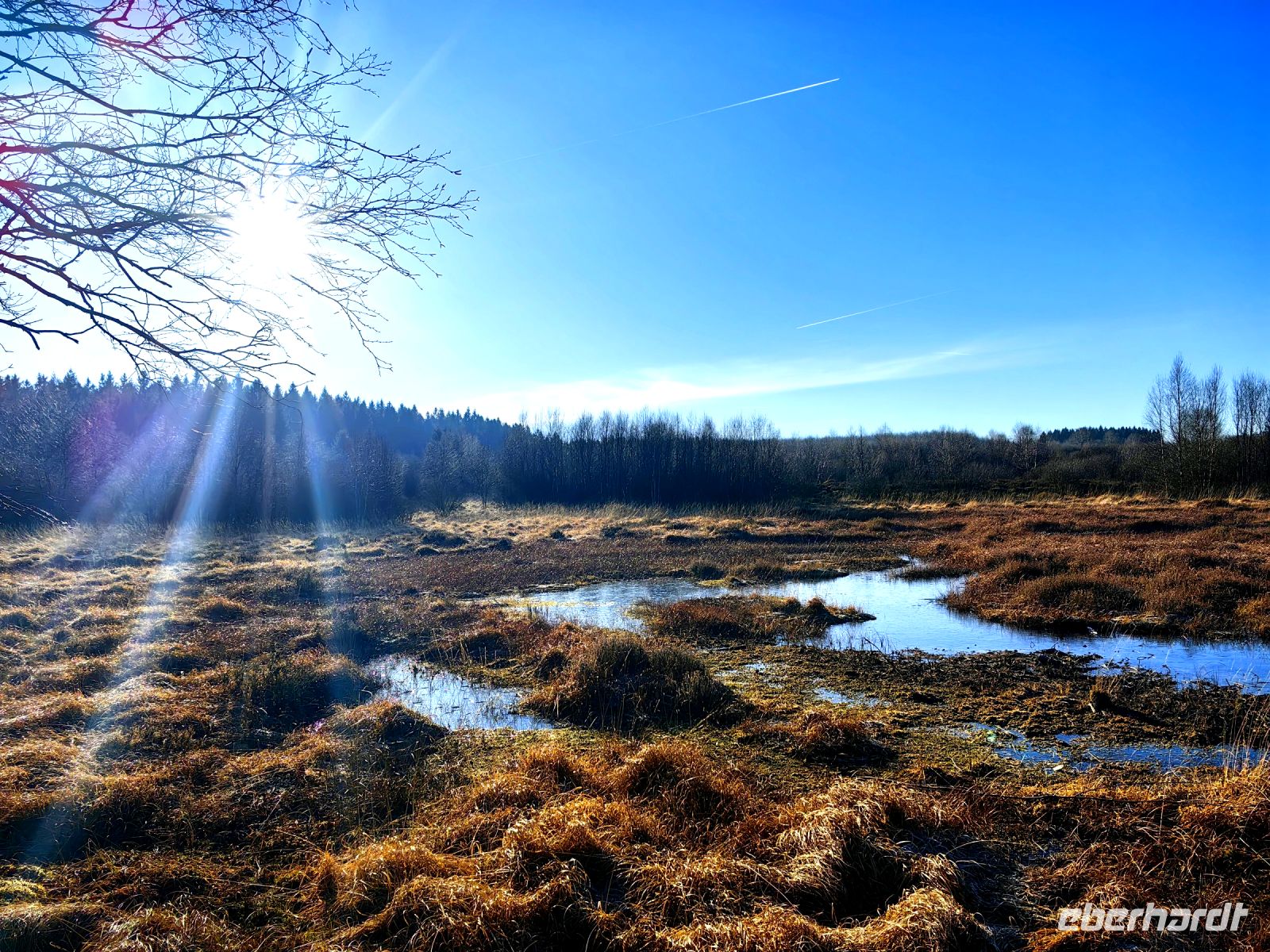 Hochmoorlandschaft am Hohen Venn