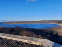 Silvester_2025_Binz: Baumwipfelpfad - Jasmunder Bodden 