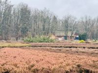 4. Tag - Heidegarten Schneverdingen