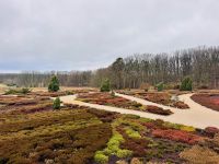 4. Tag - Heidegarten Schneverdingen