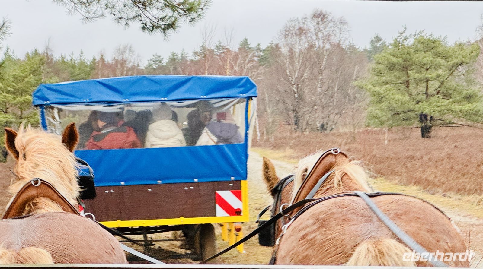 4. Tag - Kutschfahrt durch die Lüneburger Heide