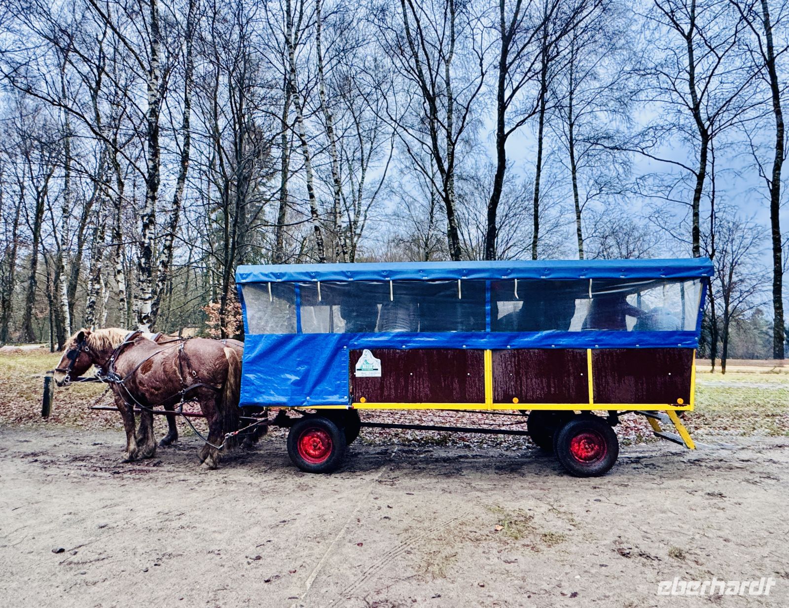 4. Tag - Kutschfahrt durch die Lüneburger Heide
