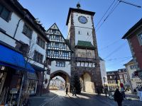 3. Tag: Stadtführung in Freiburg – Schwabentor