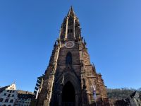 3. Tag: Stadtführung in Freiburg – Münster