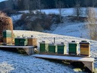3. Tag: Führung und Kaffeetrinken auf dem Hansmeyerhof