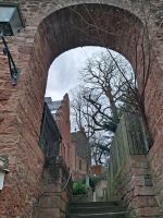 Aufstieg zum Stadtpark