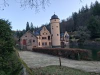 Das Wasserschloss Mespelbrunn mit Schwanenpaar