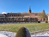 Das Residenzschloss der Grafen von Erbach