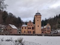 Schloss Mespelbrunn im Schnee