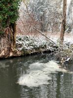23 Winter im Spreewald
