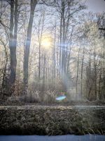 Winterwonderland in Moritzburg.