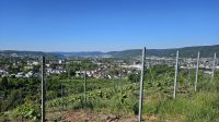 Trier - Blick auf die Stadt.jpg &ndash; &copy; Steffi Lambrecht (Eberhardt TRAVEL)