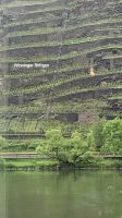 Weinberge vor der Bremmer Schleife.jpg &ndash; &copy; Steffi Lambrecht (Eberhardt TRAVEL)