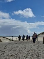 in den Dünen von Amrum &ndash; &copy; Thomas Hahn (Eberhardt TRAVEL)