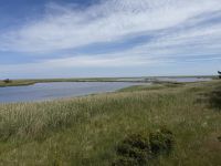 Naturreservat Darßer Ort &ndash; &copy; Ralf Mehnert (Eberhardt TRAVEL)