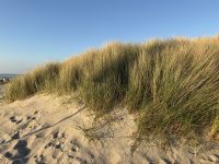 Strandhafer - ein Abschiedsfoto &ndash; &copy; Ralf Mehnert (Eberhardt TRAVEL)