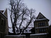 Am Augustinerkloster