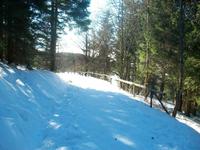 Auf dem Schauinsland