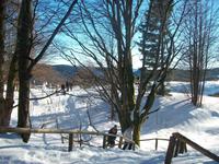 Auf dem Schauinsland