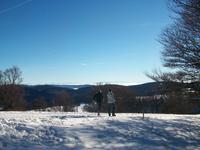 Blick vom Schauinsland