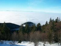 Schauinsland, Blick zu den Vogesen