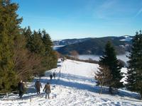 Auf dem Schauinsland