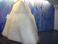 im Nationalpark Jasmund