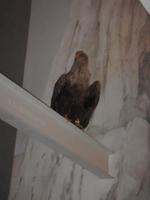 im Nationalpark Jasmund