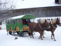 Tag 5 - Pferdeschlittenfahrt (9)
