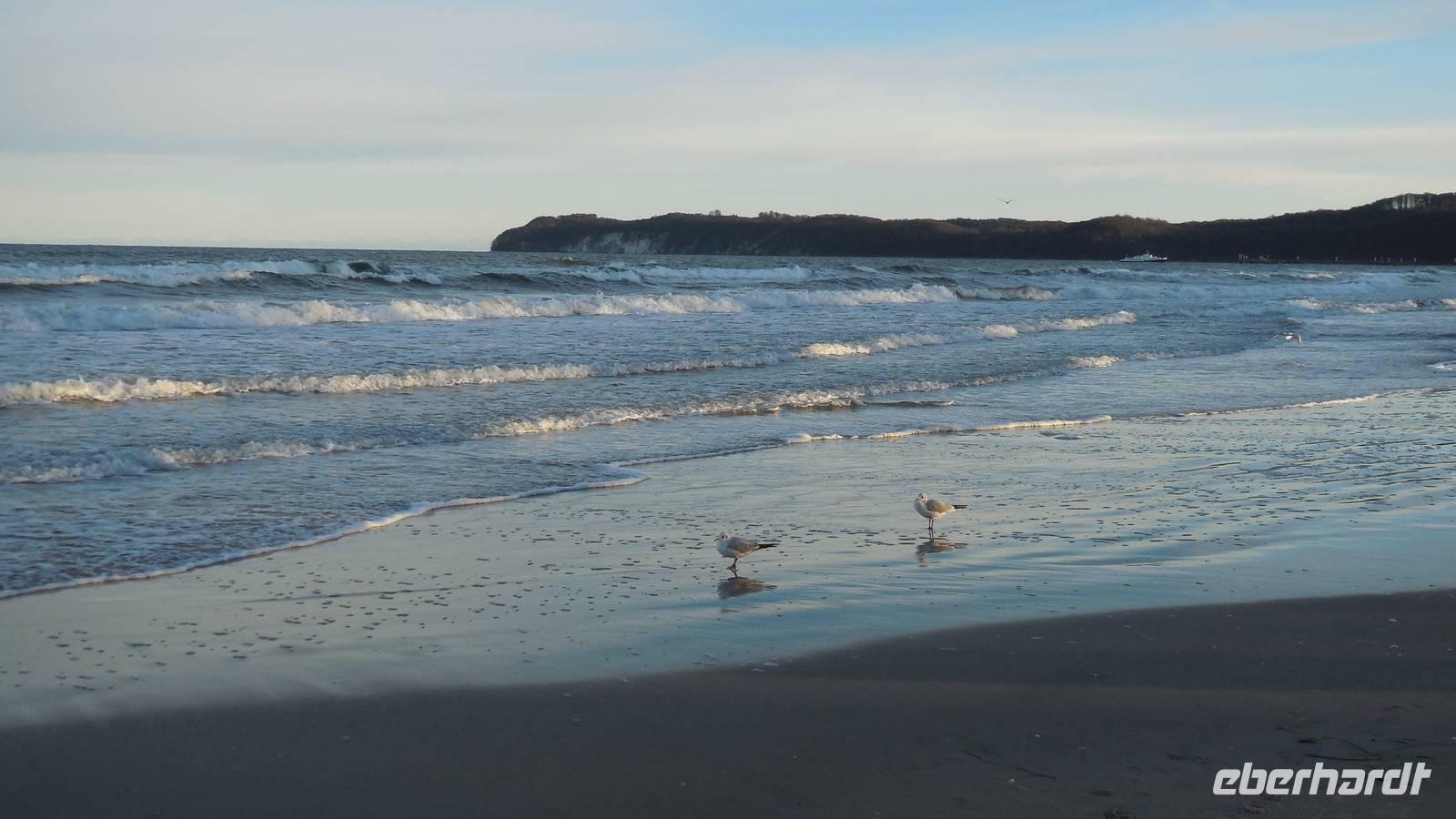 2_Strandspaziergang Binz_003