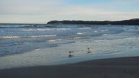 2_Strandspaziergang Binz_003