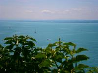 Bodenseeblick