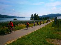 Radeln am Bodensee
