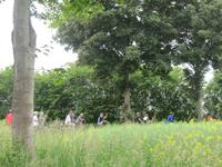 Radgruppe an der Schlei