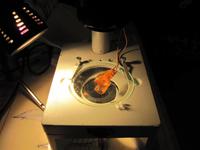 beim Bernsteinschleifen