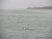 Da ist die Schatzkiste!