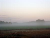 Morgennebel bei Wemding