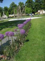 Blumenbeete so weit das Auge blicken kann