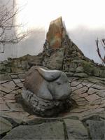 WasserbÜffel in der Suhle