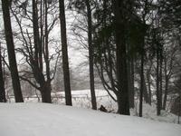 Auf dem Schauinsland