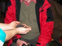 In der RÃ€ucherei, VorfÜhrung