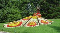aus Blumen gestalteter Pfau im Park der vier Jahreszeiten auf der Insel Mainau