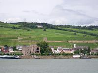 Rüdesheim