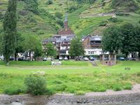 Weindorf an der Mosel