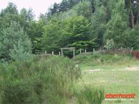 Rekonstruierte Geländesituation in Kalkriese 9 n. Chr.