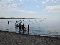 Wikinger-Friesen Radweg