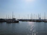 Schleswig, Wikinger-Friesen Radweg