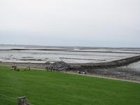 Wattwanderung - Nordseeküstenradweg